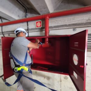 Foto de Elias Fernandes(7)